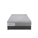 Sealy Lacey Firm Foam Mattress (Twin) IMAGE 7