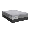 Sealy Lacey Firm Foam Mattress (California King) IMAGE 6