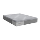 Sealy Paterson Medium Foam Mattress (King) IMAGE 1