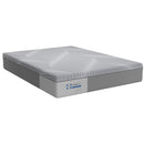 Sealy Paterson Medium Hybrid Mattress (King) IMAGE 1