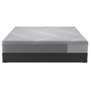 Sealy Paterson Medium Hybrid Mattress (Twin XL) IMAGE 8