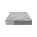 Sealy Paterson Medium Hybrid Mattress (Calfiornia King) IMAGE 2