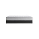 Sealy Diggens Soft Tight Top Mattress (King) IMAGE 6