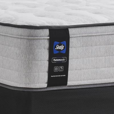 Sealy Diggens Soft Faux Euro Top Mattress (Queen) IMAGE 7