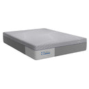 Sealy Elsanta Firm Hybrid Mattress (Twin XL) IMAGE 1