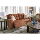 Signature Design by Ashley Danum 3880781 2 Seat Reclining Sofa IMAGE 10