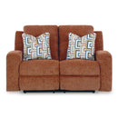 Signature Design by Ashley Danum 3880786 Reclining Loveseat IMAGE 3